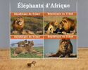 African Elephants - Lions