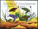 Turtles of Montserrat