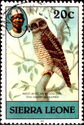 African Wood Owl (Strix woodfordii); 1983 imprint