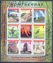 Active Volcano 1995-97 and Endangered Species - overprinted