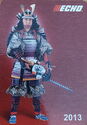 Echo
