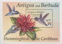 Hummingbirds of the Caribbean (1)