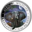 100 Shillings (African Wildlife - Elephant 1 Oz. Night)