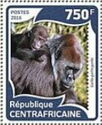 Western Lowland Gorilla (Gorilla gorilla gorilla)