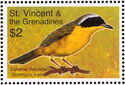 Bahama Yellowthroat (Geothlypis rostrata)