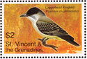 Loggerhead Kingbird (Tryannus caudifasciatus)