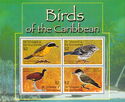 Birds of the Caribbean