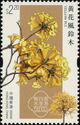 Yellow Pui (Tabebuia chrysantha)