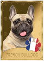 1 Dollar (French bulldog)