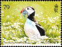 Atlantic Puffin (Fratercula arctica)