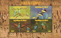 Bee Eaters Birds