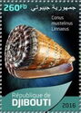 Conus mustelinus Linnaeus