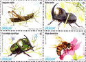 Spring 2013: Insects