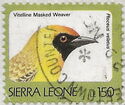 Southern Masked Weaver (Ploceus velatus)