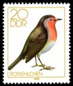 European Robin (Erithacus rubecula)
