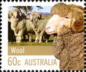 Sheep (Ovis aries) - Wool