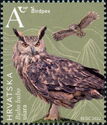 Eurasian Eagle-Owl (Bubo bubo)