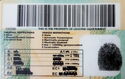 Driving Licence - Kingdom of Lesotho