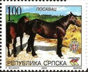 Posavina's Horse (Equus ferus caballus)
