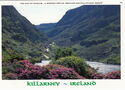 The Gap odf Dunloe, Killarney, Ireland