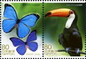 Morpho Butterflies & Toco Toucan