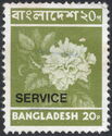 Flower (Hibiscus rosenensis) - Overprinted