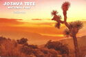 Joshua Tree National Park, California