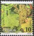 Grapes, Vitis vinifera L. (2022)