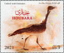 Houbara Bustard (Chlamydotis undulata)