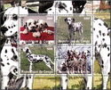 Dogs Dalmatians