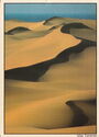 Gran Canaria. Maspalomas Sand Dunes