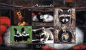 Animals - Raccoons - Skunks - Ferrets