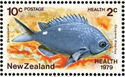 Health - New Zealand Demoiselle (Chromis dispilus)