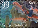 Blackbar Soldierfish (Myripristis jacobus)