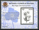 National Flower of Bhutan