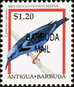 Red-legged Honeycreeper (Cyanerpes cyaneus) - Overprinted