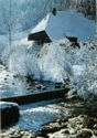 Winter im Schwarzwald