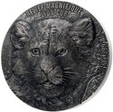 20,000 CFA Francs (Lion cub)