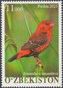 Red Avadavat (Amandava amandava)