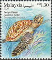 Hawksbill Turtle (Eretmochelys imbricata)