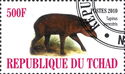 Tapirus terrestris