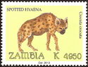 Spotted Hyena (Crocuta crocuta)