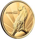 3,000 CFA Francs (Cheetah)