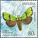 Malachite Moth (Staurophora celsia)