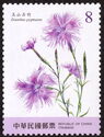 Dianthus pygmaeus