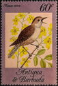 House Wren (Troglodytes aedon)