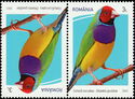 Gouldian Finch (Chloebia gouldiae)