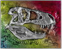 5,000 CFA Francs (Tyrannosaurus Rex Fossil)