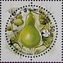 Calabash or Bottle Gourd (Lagenaria siceraria)