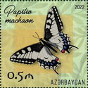 Common Swallowtail (Papilio machaon)